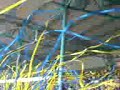 Eintracht Braunschweig- Unterhachingen