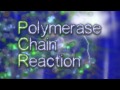 Joe Flaherty - RealTime PCR