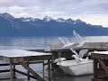 Camping With Gulls