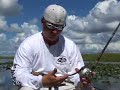 South Florida Trophy Bass Baits South Florida Trophy Bass Baits