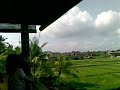 Bali, lunch surrounding rice padi field