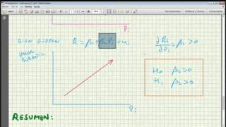 SIGNOS ESPERADOS EN EL MODELO ECONOMÉTRICO