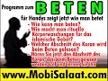 DER HEILIGE KORAN Deutsche Koran Der Elefant you tube islam