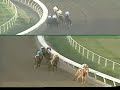1994 Hollywood Futurity (GI)  -  Afternoon Deelights