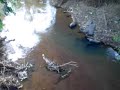 RIO SANTA JOANA - ITARANA