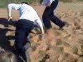 King John School Olympics Sand Fliping