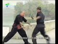 Master Yee's China TV Show Part2