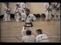 Tang Soo Do Master Baird performs Rohai