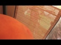 Nasty  Popping