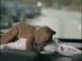 videos de conejo