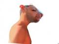 LL Rat Boy