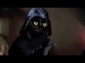 The Cat Strikes Back: 2012 Volkswagen Game Day Commercial #CatsBack