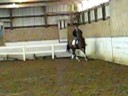 Paige rides Harry at Cornerstone Paige rides Harry at Cornerstone