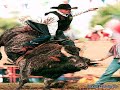 VAQUERO DE CORAZÓN
