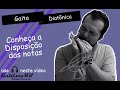 Disposição das notas na gaita diatonica(em tom maior) (gaita diatonica 00)