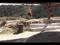 KCLU Freestyle-Walking