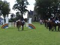 Ruinerwold 2008 \"Springen Angela met Rumba\" Klasse B Cat. E Ruinerwold 2008 \"Springen Angela met Rumba\" Klasse B Cat. E