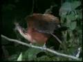 Monagas al Natural