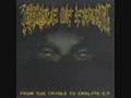 videos de Cradle of Filth |/|/ From the Cradle to Enslave