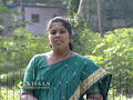 Jasmine cultivation Jasmine cultivation