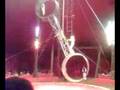 Circus Cirque سيرك 11