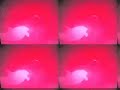 Autechre Dolphistice