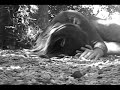 Broken: The Video