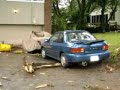 Lightning Strike Turns Tree into Bomb