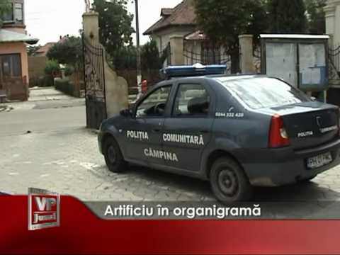 Artificiu în organigramă