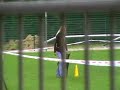 Magdalena Bracka i Nevski Tserber Russkaya Krasavitsa Rybnik