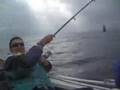les puants vont peche en bateau, sar, pagre, murene.