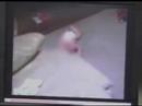 Teen Arrested For Making Baby Fly