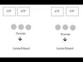 videos de sciencevideo#2.mov