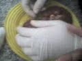 morgue en el cole