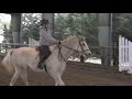 lol another video of me riding only this one I wasn't holding the camera.  So ya I went up to see my baby boy with my dad and we got some vids.  Harpo wouldn't pick up the canter!! Silly horsie, but he's too cute to get mad...  Thanks for watching! ;) PS I'm sorry about my position *points to leg and blushes with embarrassment* I'm not doing that as much now my riding instructor helped me out there... lol... So the next bunch of days I'm going to be at the barn because my trainer wants me to help out with schooling some of the ponies so I'll bring my video camera to get it on tape!  Thanks Again!