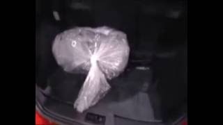 2015 Ford Focus St @ Reno Auto Show 2015 Ford Focus St @ Reno Auto Show