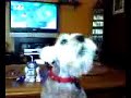 bastian-whistle.html