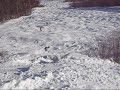 Devils Fiddle at Killington