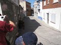 Encierro Santa Maria del Tietar V
