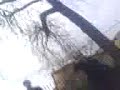 délire av lé vac de noel a gaillac o parc