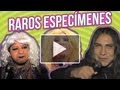 CUANDO LOS ANIMALES ATACAN