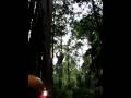videos de Jim vertical zipline at Flight of the Gibbon