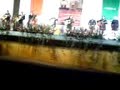 Rondalla Magistral Xalapa por amarte asi