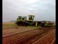 ploeger aan het plantuien rooien