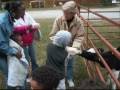Elwood Family Dairy Visit