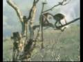 SOU 2 - L'enigmRott3n 2 (TRAILER) (www.rott3n.com)