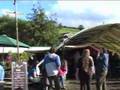 Baka Beyond at the Workhouse Festival