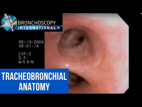how to perform bronchoscopy