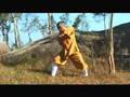 The Way of Qi Gong Volume Three