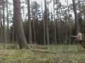 Edvinas reverse fflip from tree